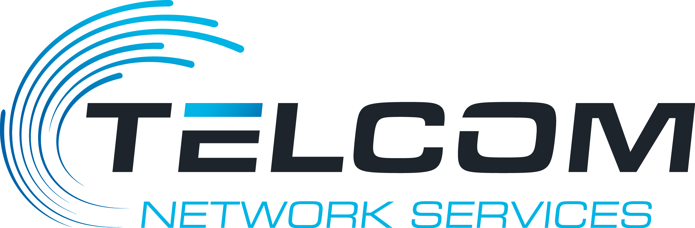 Telcom Network Services